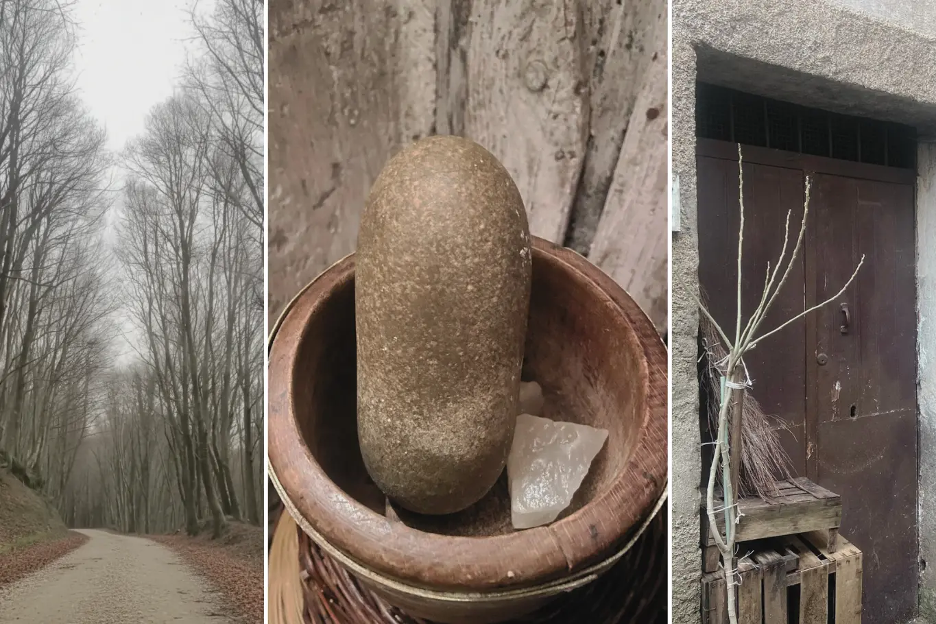 Dal Catanzarese al Vibonese a piedi: il vecchio viaggio del sale da Vallefiorita a Polia attraversando i boschi calabresi\n