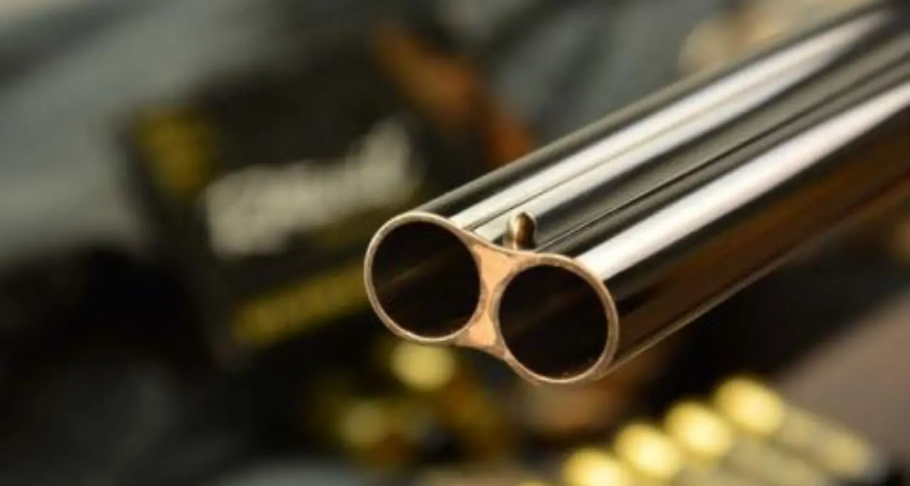 Far West nel Reggino, gang assalta a colpi di fucile un gruppo di cacciatori: ferito al volto un carabiniere\n