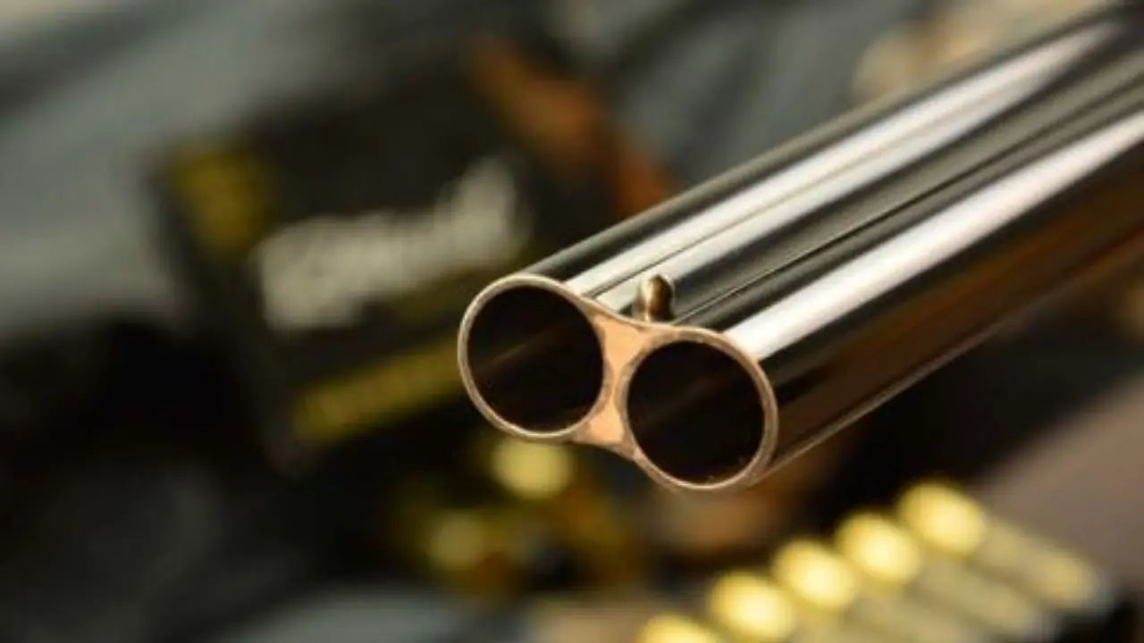 Far West nel Reggino, gang assalta a colpi di fucile un gruppo di cacciatori: ferito al volto un carabiniere\n