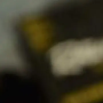 Gang assalta a colpi di fucile un gruppo di cacciatori: ferito al volto un carabiniere nel Reggino