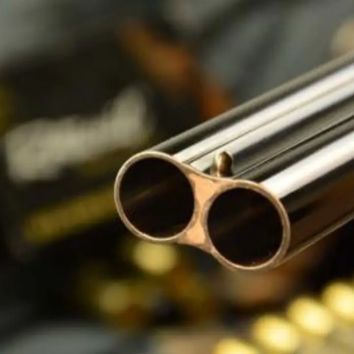 Far West nel Reggino, gang assalta a colpi di fucile un gruppo di cacciatori: ferito al volto un carabiniere\n