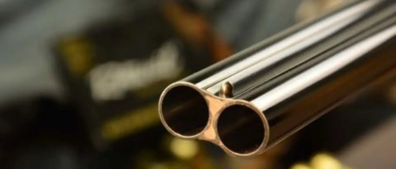 Far West nel Reggino, gang assalta a colpi di fucile un gruppo di cacciatori: ferito al volto un carabiniere\n