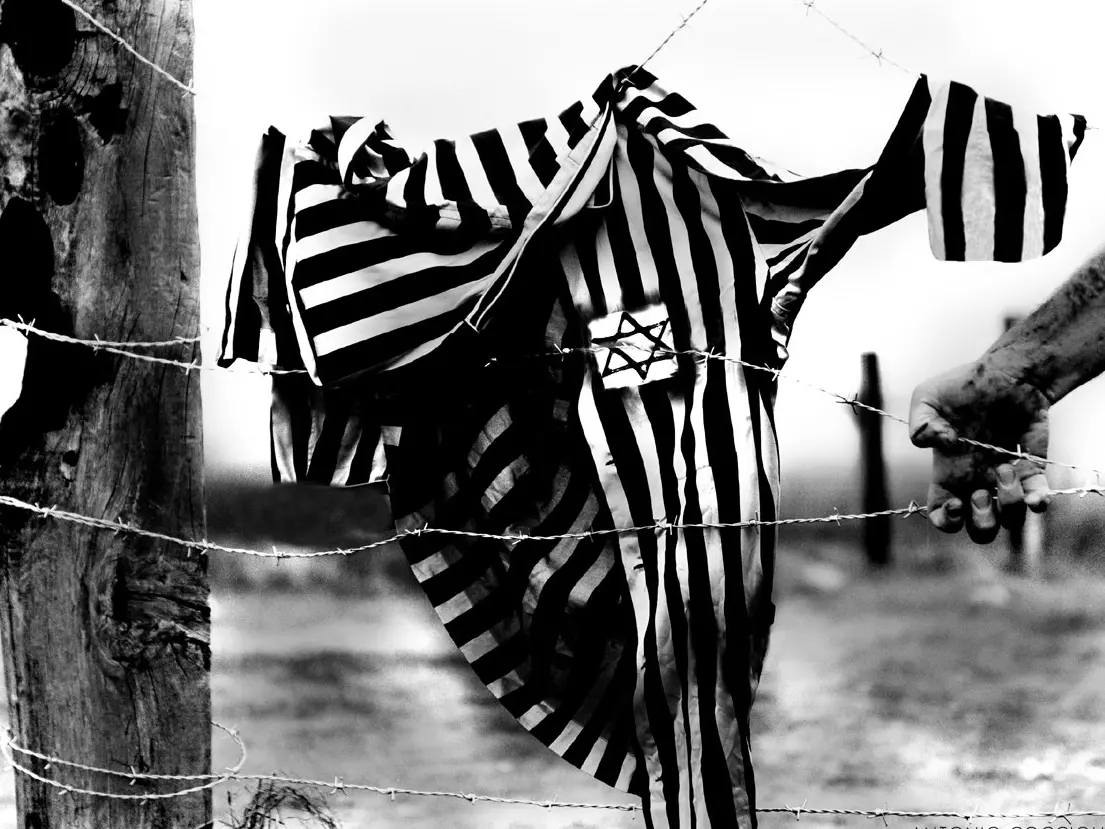 Vibo celebra il Giorno della memoria tra testimonianze e letture dei diari dei sopravvissuti alla Shoah. Ecco il programma