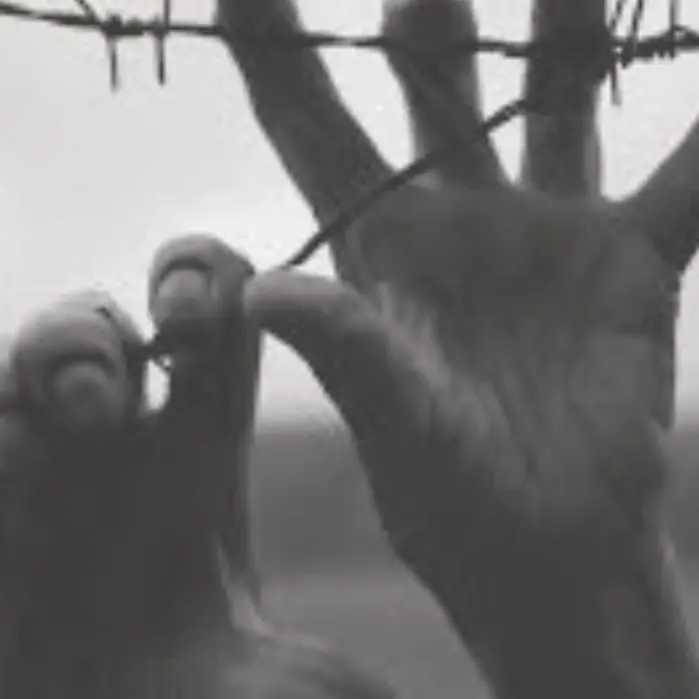 Cinquefrondi rinnova l’impegno per la memoria, la pace e i diritti umani