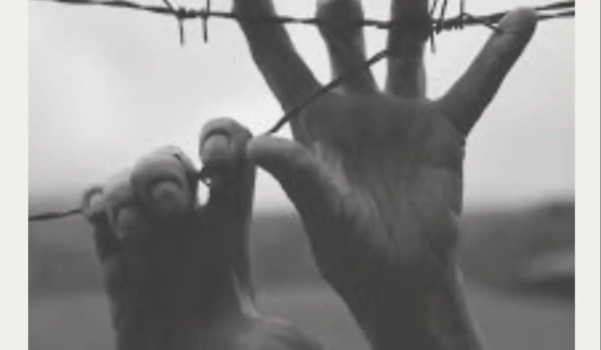 Cinquefrondi rinnova l’impegno per la memoria, la pace e i diritti umani