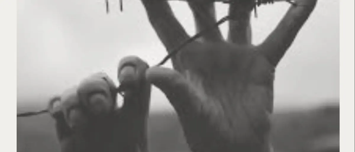 Cinquefrondi rinnova l’impegno per la memoria, la pace e i diritti umani