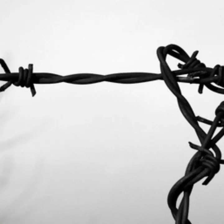 Shoah, una storia senza fine: quando la memoria viene negata e l’odio ritorna\n