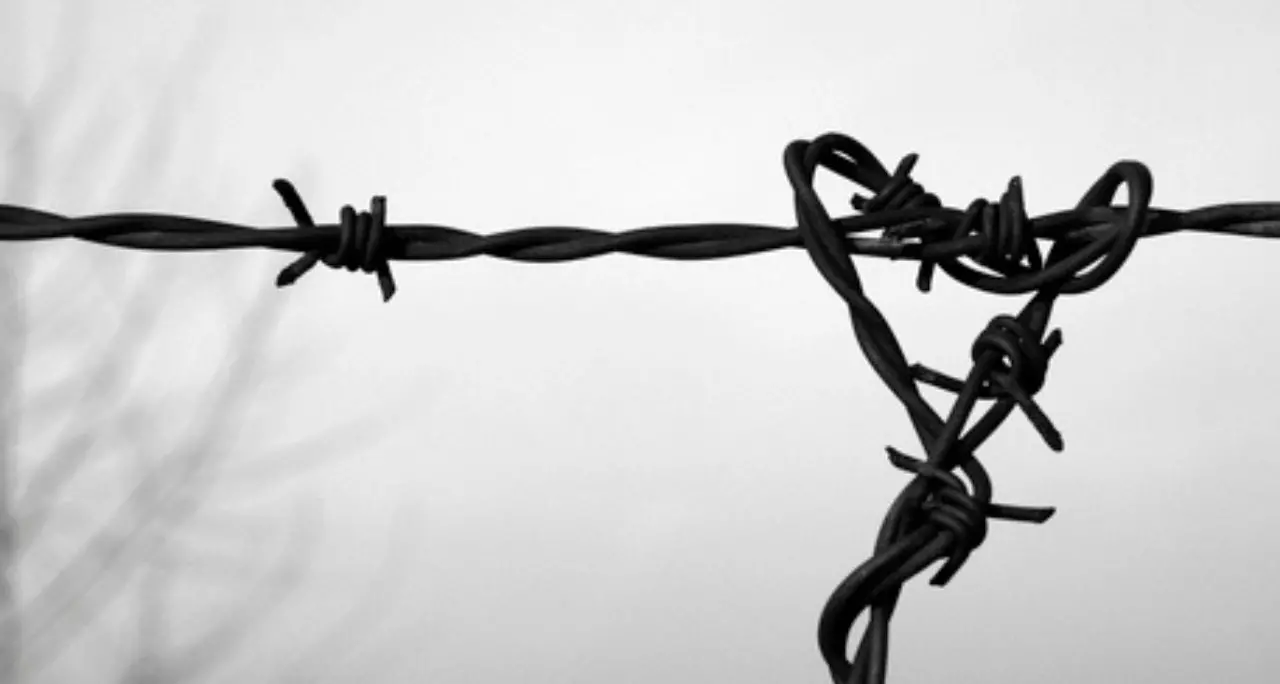 Shoah, una storia senza fine: quando la memoria viene negata e l’odio ritorna\n