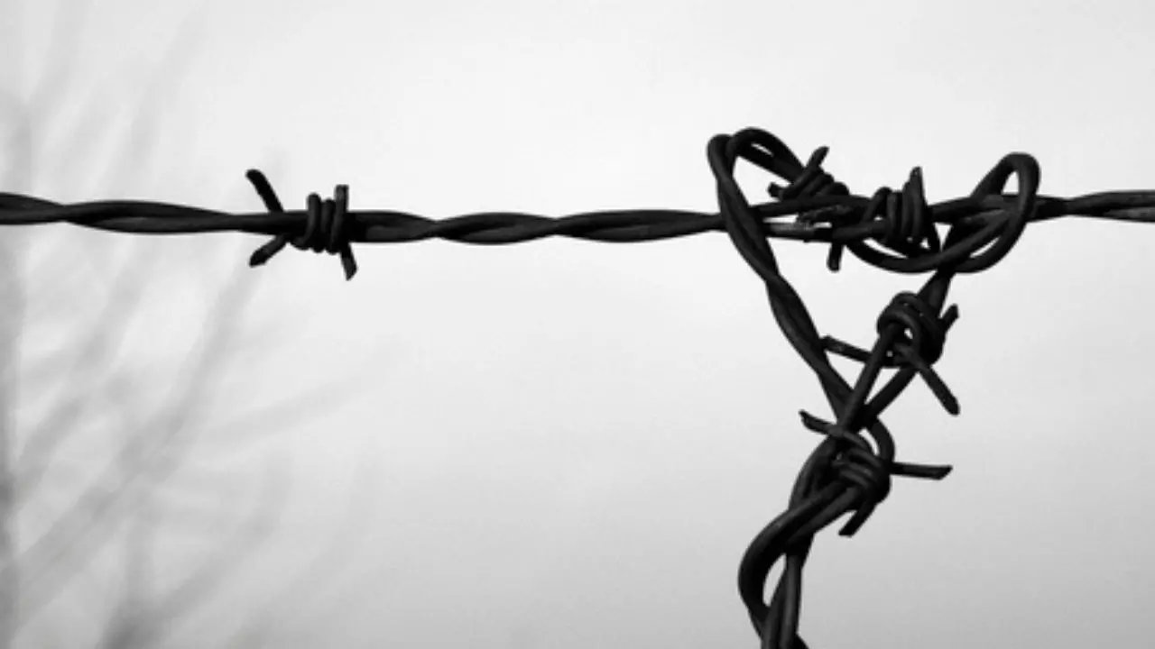 Shoah, una storia senza fine: quando la memoria viene negata e l’odio ritorna\n