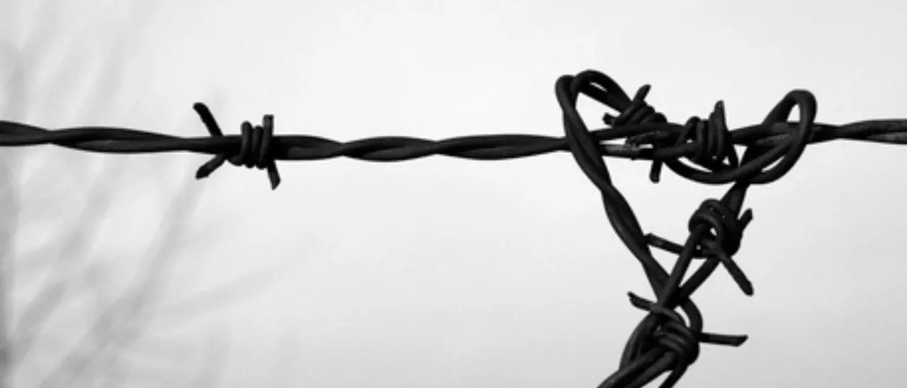 Shoah, una storia senza fine: quando la memoria viene negata e l’odio ritorna\n