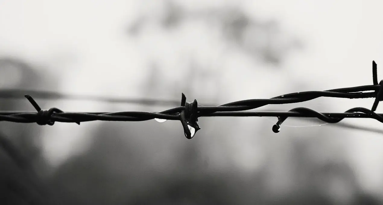 Giorno della memoria, a Bova Marina l’inaugurazione del monumento dedicato agli internati militari italiani\n