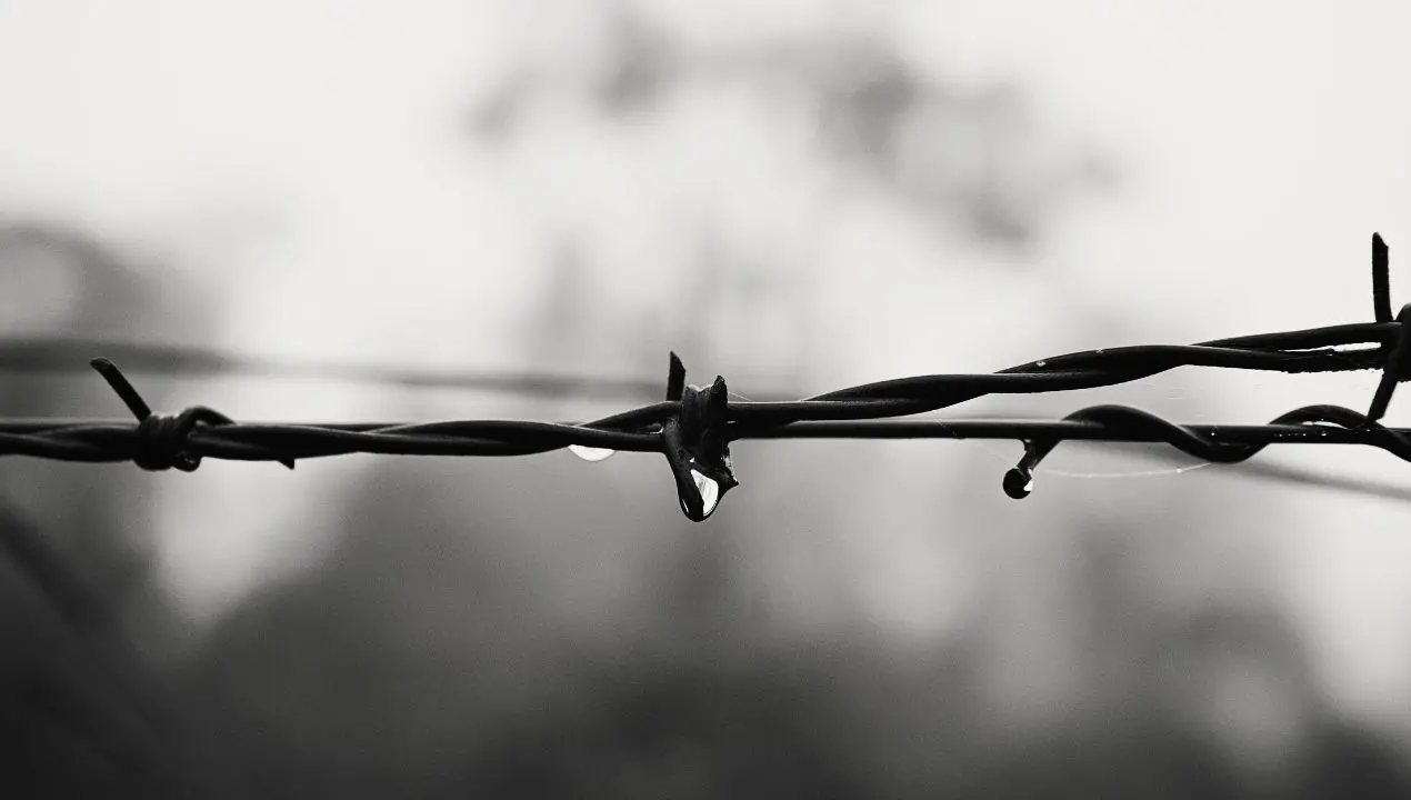 Giorno della memoria, a Bova Marina l’inaugurazione del monumento dedicato agli internati militari italiani\n