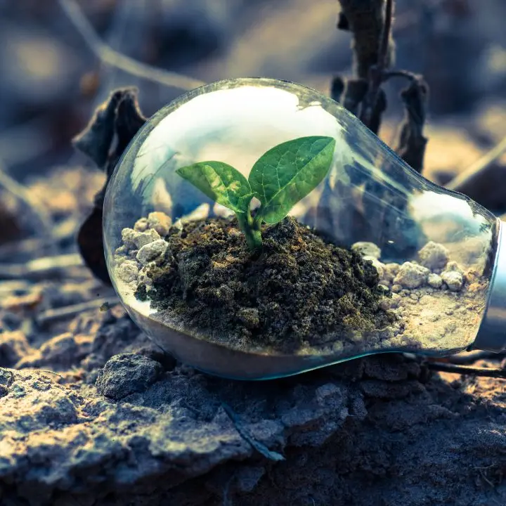 Vibo sposa l’iniziativa M’illumino di meno, l’assessore Miceli: «Ogni piccolo gesto può fare la differenza»\n