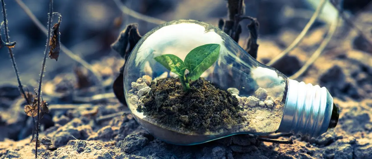 Vibo sposa l’iniziativa M’illumino di meno, l’assessore Miceli: «Ogni piccolo gesto può fare la differenza»\n