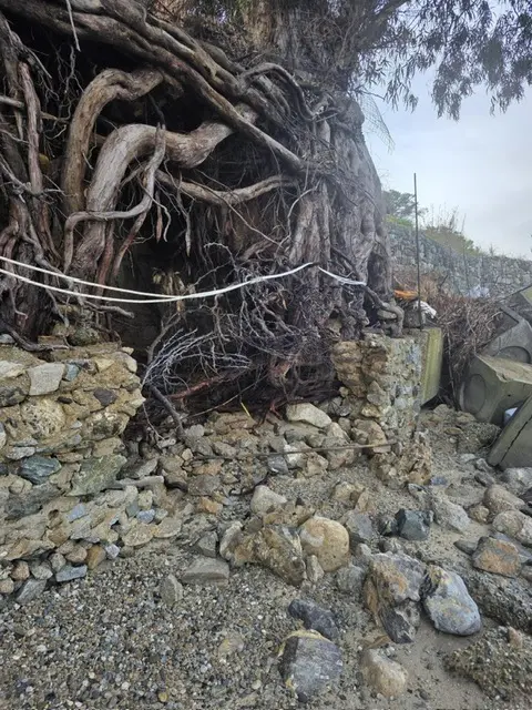 Cannitello sotto assedio del mare, il grido che sale dalla costa\n