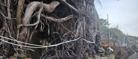 Cannitello sotto assedio del mare, il grido che sale dalla costa\n