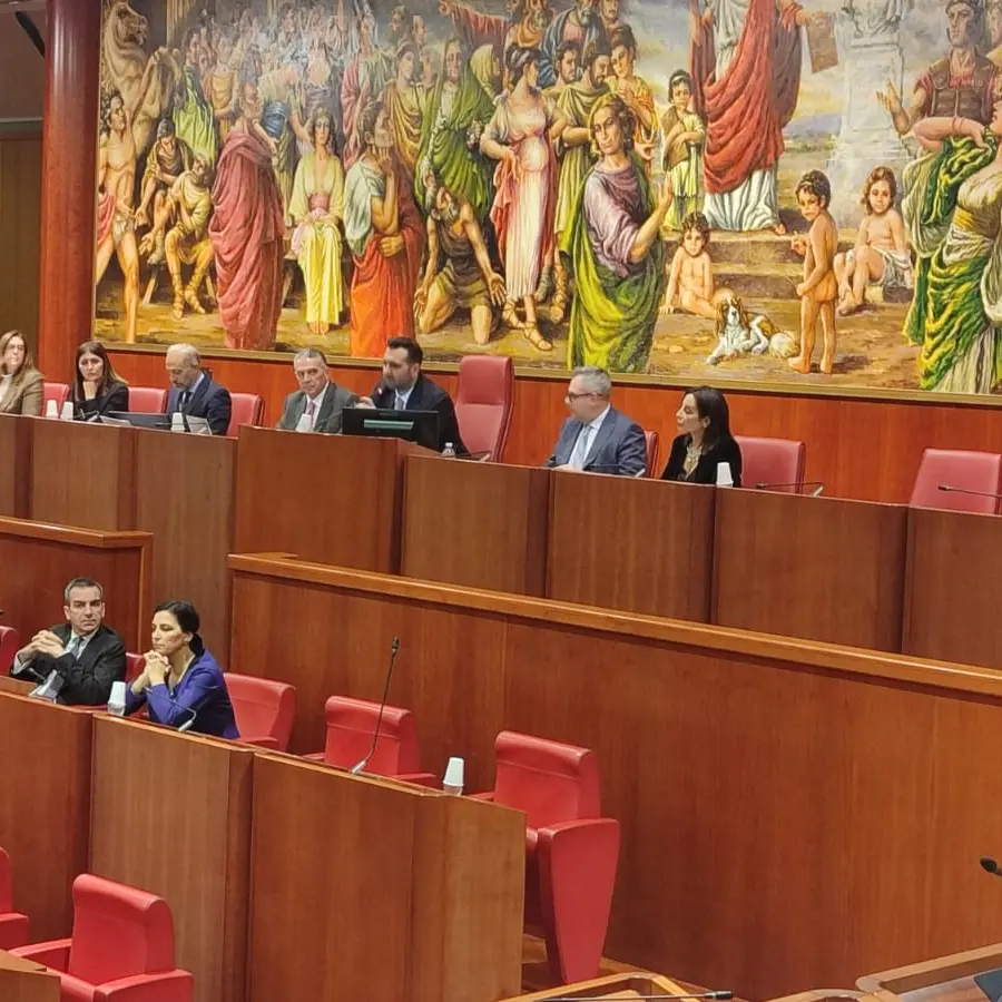 Giornata della Memoria, Cirillo in Aula: «La memoria è un impegno per il presente»\n