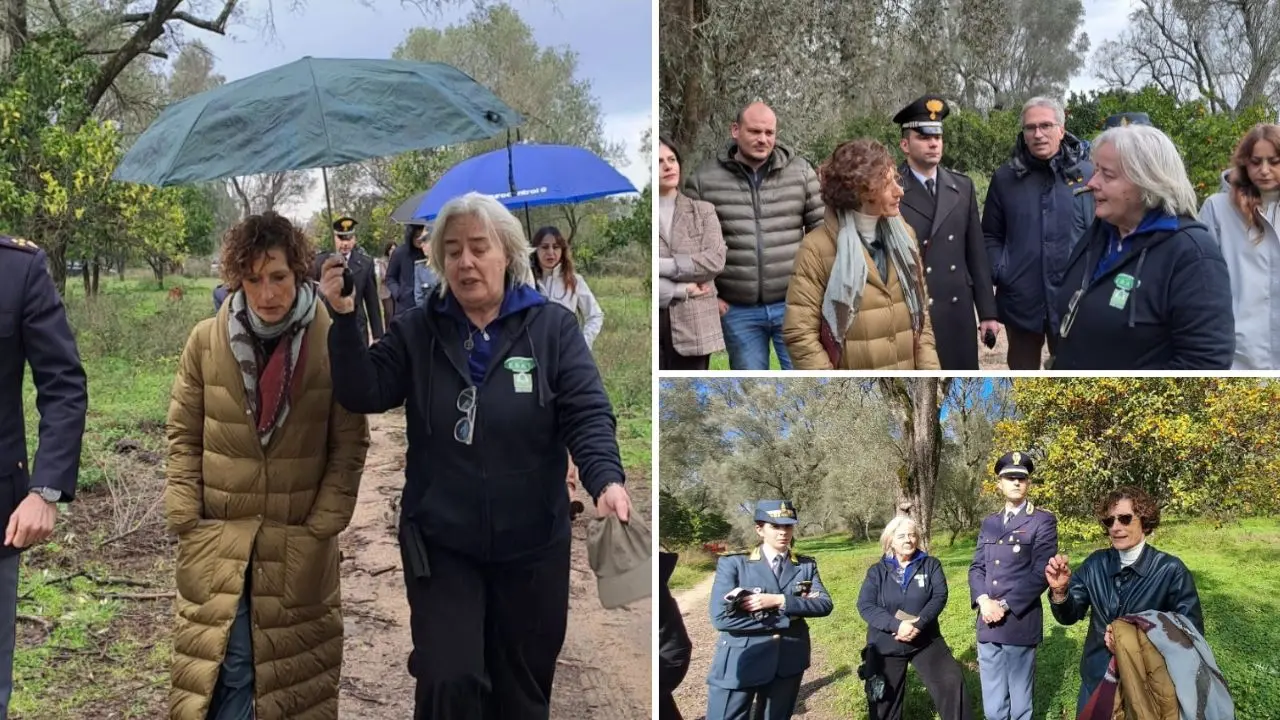 Intimidazioni a un’azienda di Rosarno, la proprietaria riceve il prefetto Clara Vaccaro:\u00A0«L’intervento dello Stato una garanzia»\n