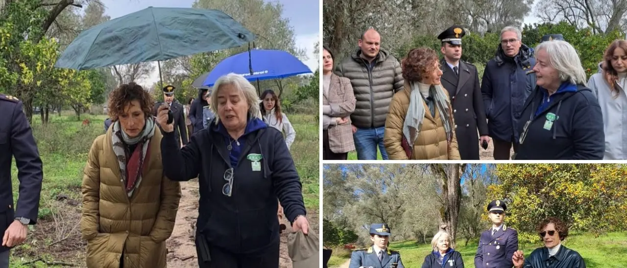 Intimidazioni a un’azienda di Rosarno, la proprietaria riceve il prefetto Clara Vaccaro:\u00A0«L’intervento dello Stato una garanzia»\n