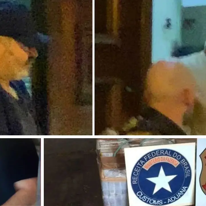 Latitanti con pizzerie «buonissime» e affari milionari per la 'ndrangheta, il Brasile al centro del patto globale della coca\n