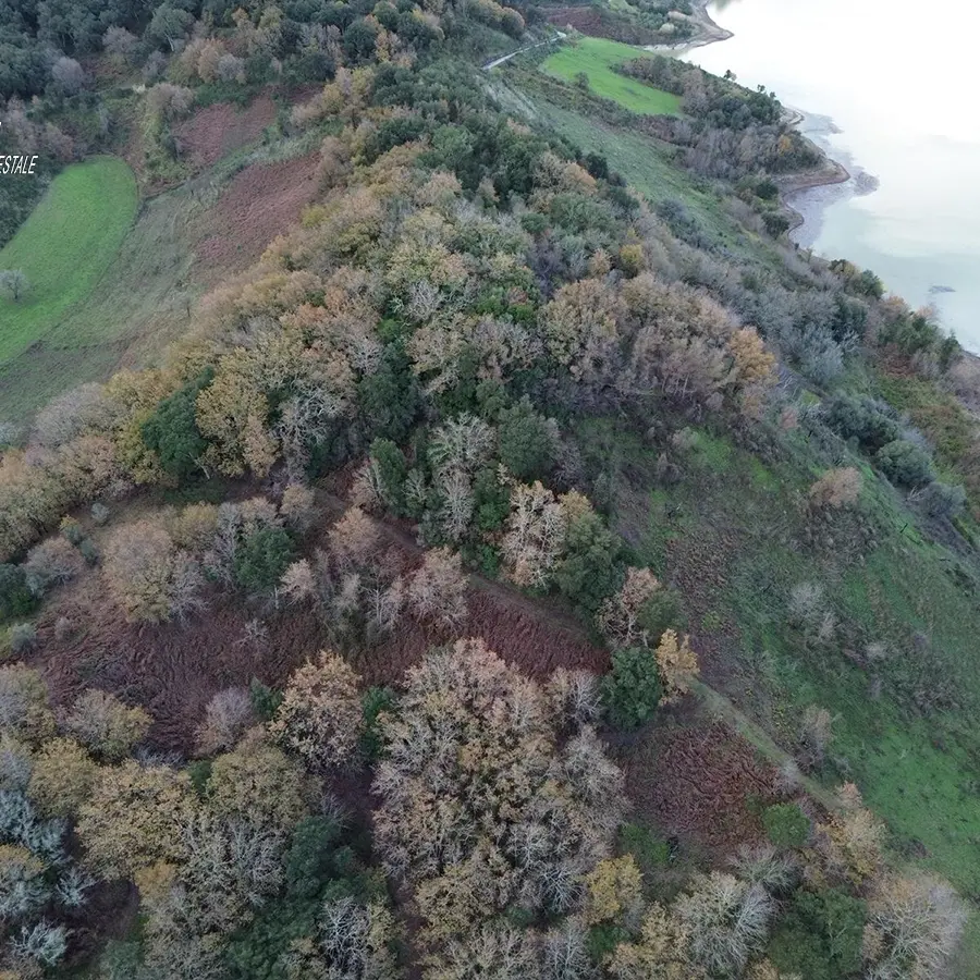 Monterosso, beccato col gregge al pascolo in un’area interessata da diversi incendi in estate: sanzionato pastore\n