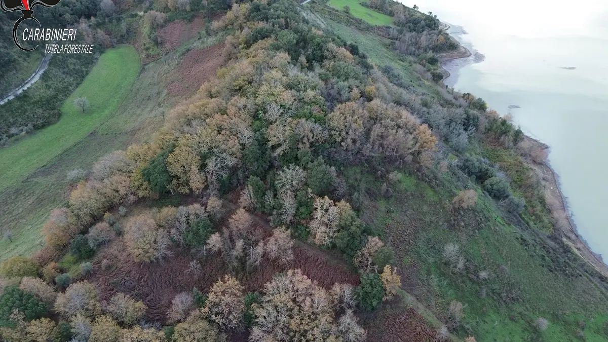 <p>L'area interessata dall'incendio vicino al lago Angitola</p>\\n