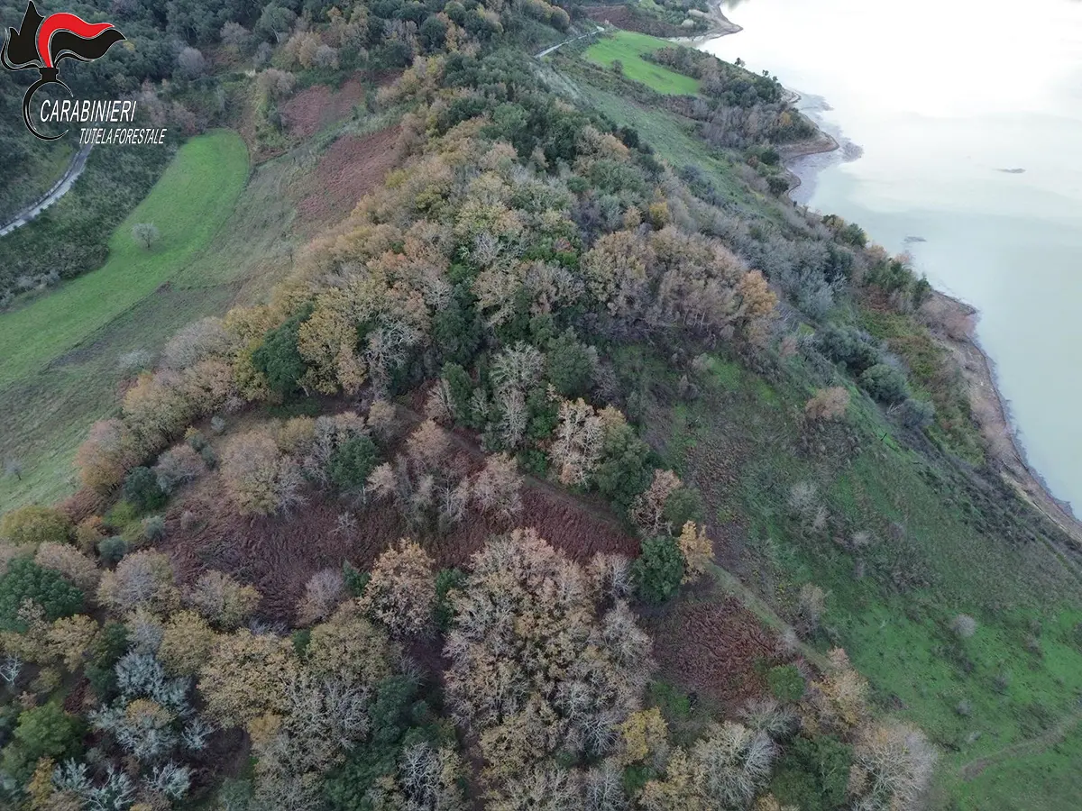 Monterosso, beccato col gregge al pascolo in un’area interessata da diversi incendi in estate: sanzionato pastore\n