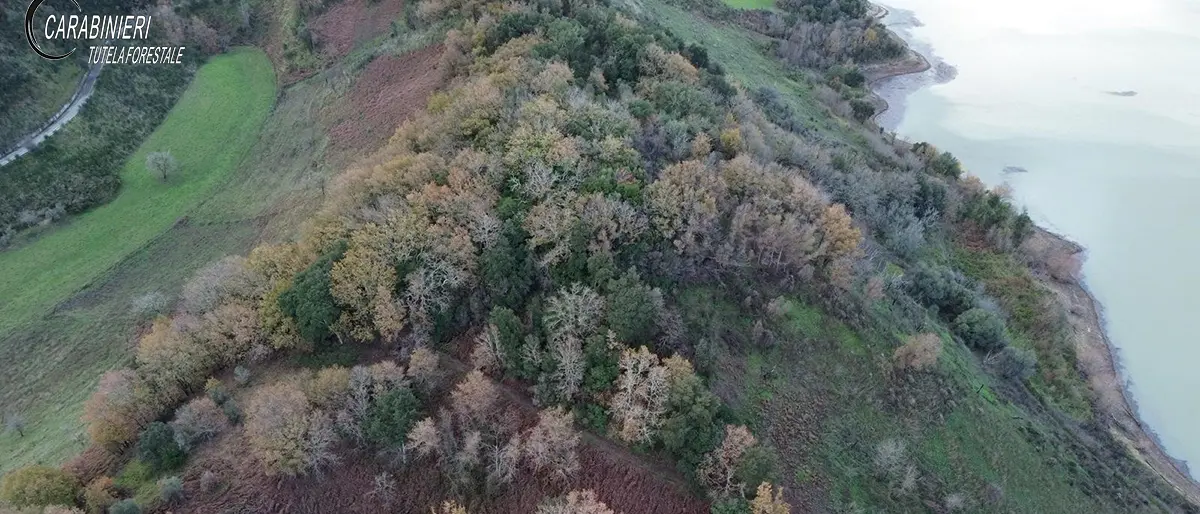 Monterosso, beccato col gregge al pascolo in un’area interessata da diversi incendi in estate: sanzionato pastore\n
