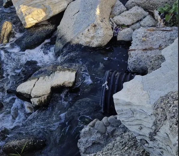 Indagine “Panta Rei”, Legambiente annuncia:\u00A0«Ci costituiremo parte civile»\n