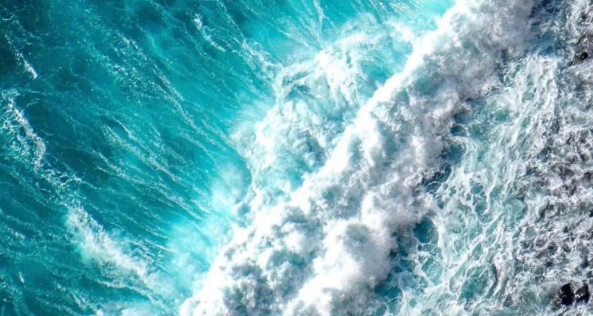 Mareggiate e venti di burrasca: scatta l’allerta sulla costa tirrenica cosentina\n