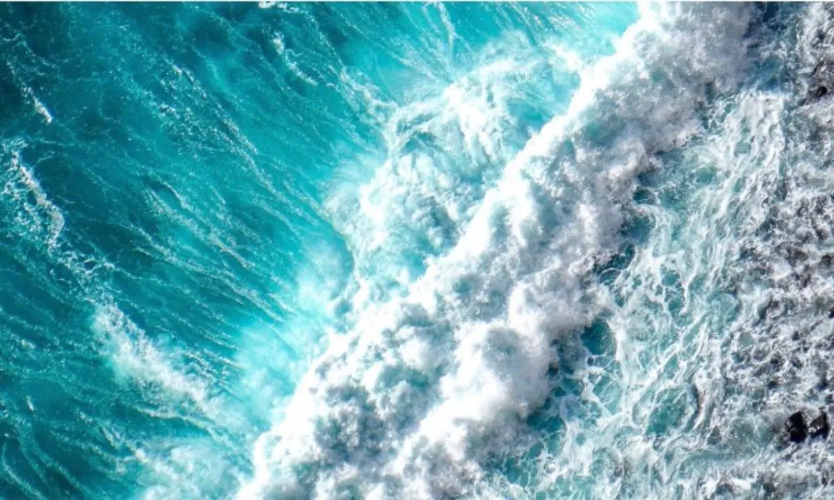 Mareggiate e venti di burrasca: scatta l’allerta sulla costa tirrenica cosentina\n