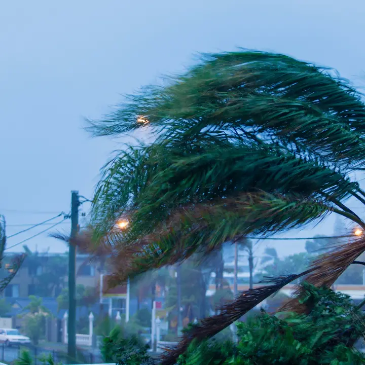 Non è un ciclone ma in Calabria torna il maltempo: temporali, vento a 110 chilometri orari e mareggiate sul Tirreno\n