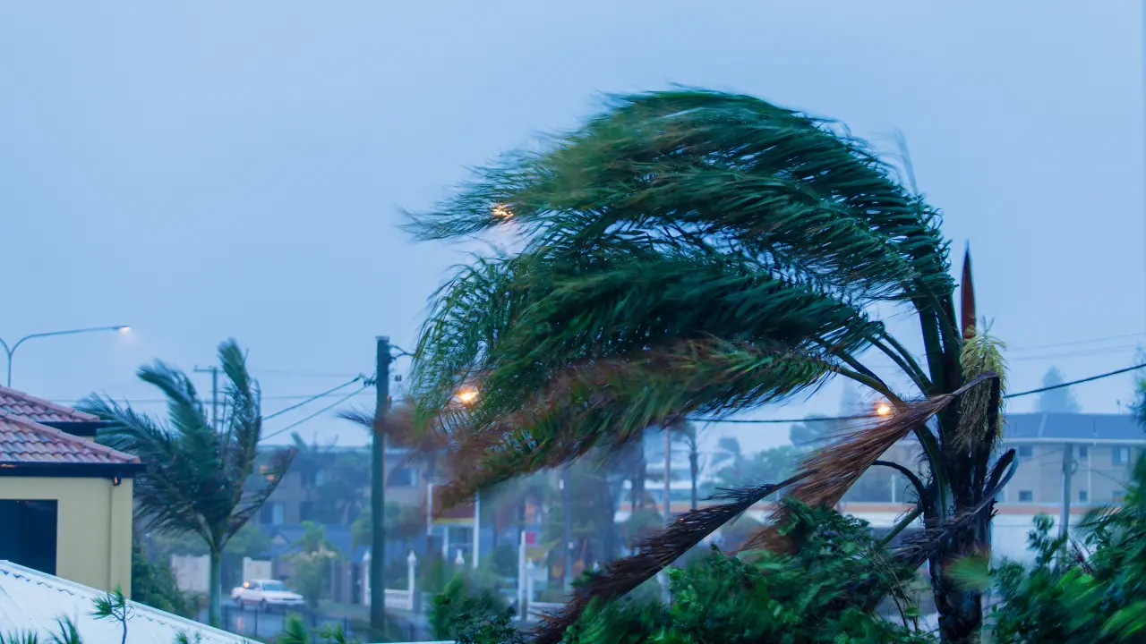 Non è un ciclone ma in Calabria torna il maltempo: temporali, vento a 110 chilometri orari e mareggiate sul Tirreno\n