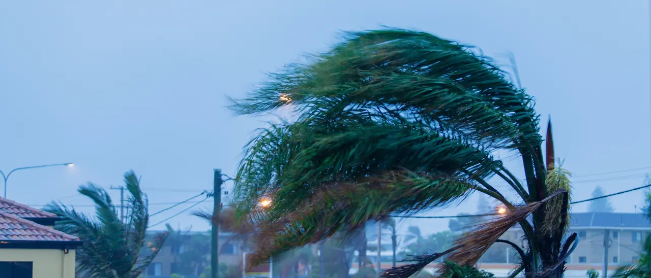 Non è un ciclone ma in Calabria torna il maltempo: temporali, vento a 110 chilometri orari e mareggiate sul Tirreno\n