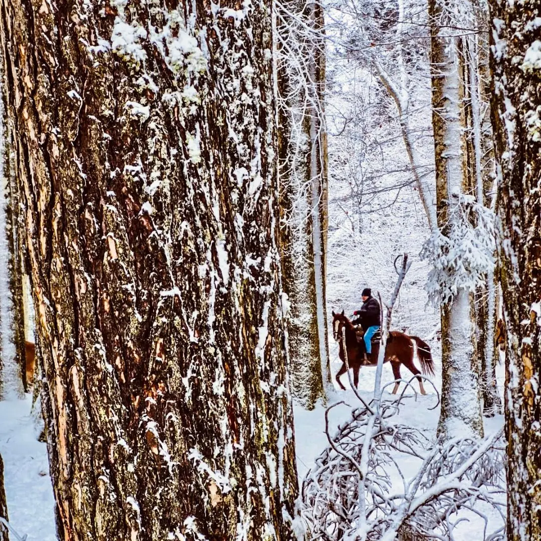 Tra neve e silenzi, il passo dell’anima\n