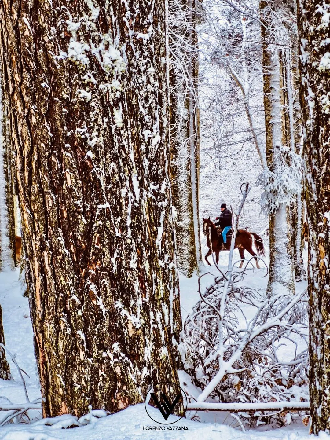 Tra neve e silenzi, il passo dell’anima\n