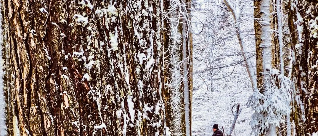 Tra neve e silenzi, il passo dell’anima\n