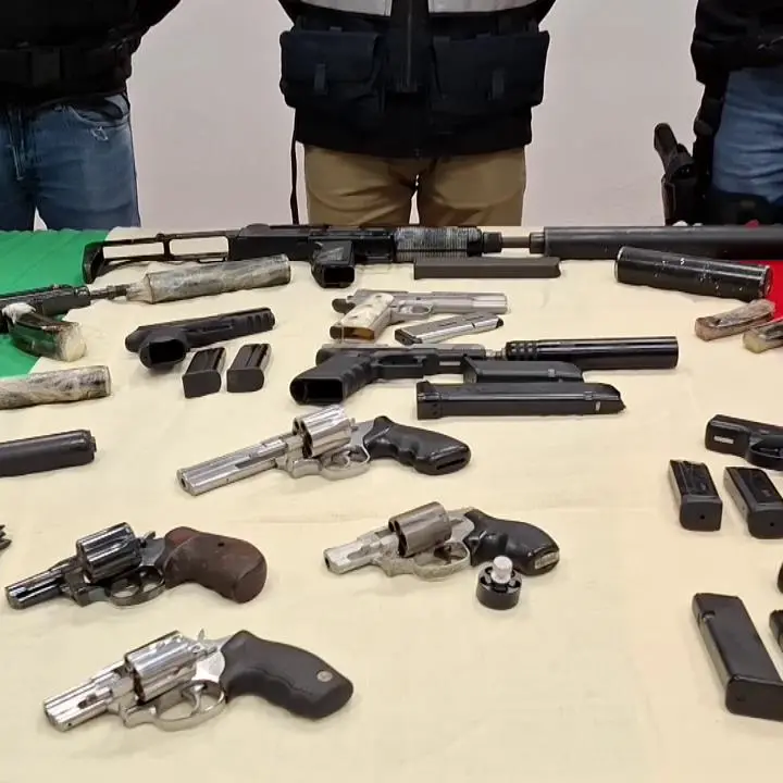 ‘Ndrangheta, la pioggia fa affiorare un arsenale sepolto nella Piana di Gioia: pistole mitragliatici, Uzi, silenziatori e munizioni\u00A0\n