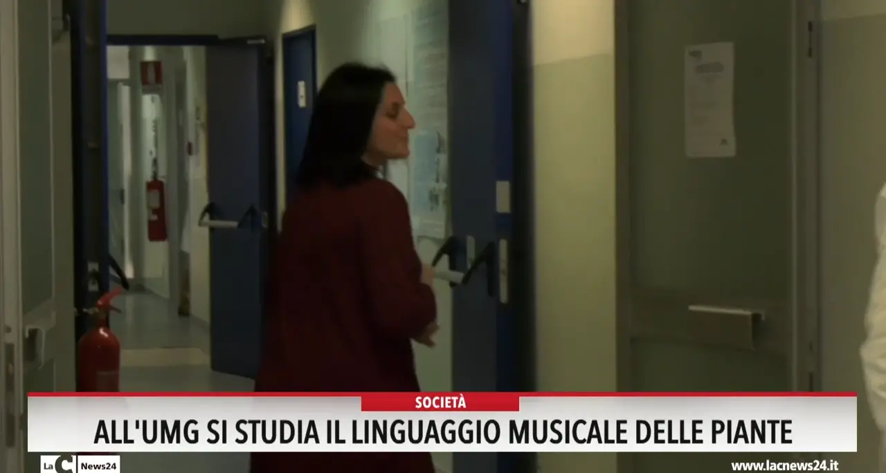 All'Umg si studia il linguaggio musicale delle piante