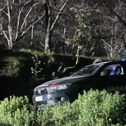 Messina, il giallo dei tre cacciatori morti nel bosco: notte di interrogatori in caserma\n
