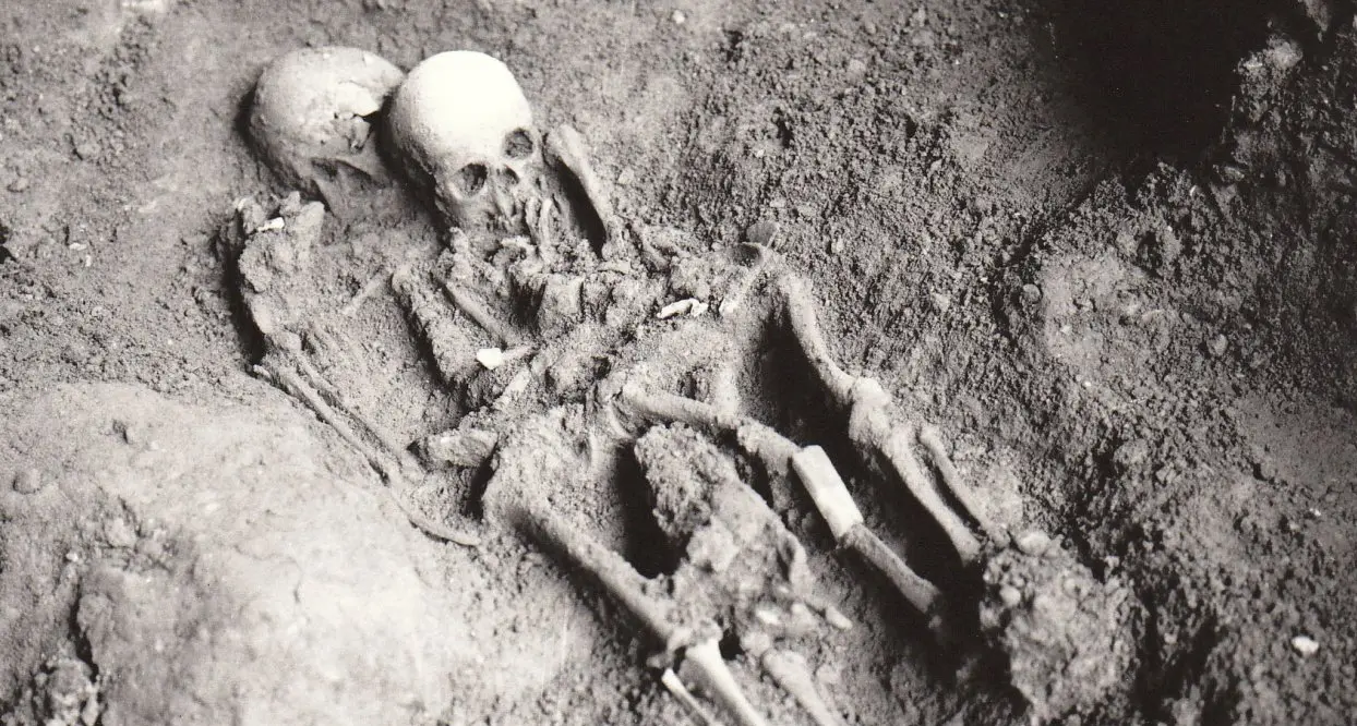 Grotta del Romito, grazie al Dna antico risolto un mistero medico\u00A0di oltre 12mila anni fa\n