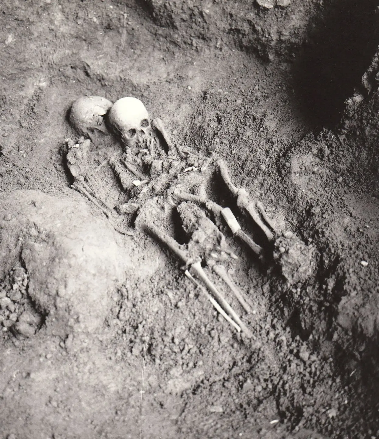 Grotta del Romito, grazie al Dna antico risolto un mistero medico\u00A0di oltre 12mila anni fa\n