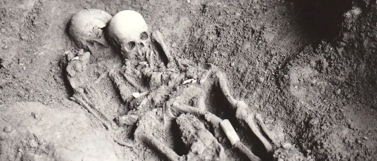 Grotta del Romito, grazie al Dna antico risolto un mistero medico\u00A0di oltre 12mila anni fa\n