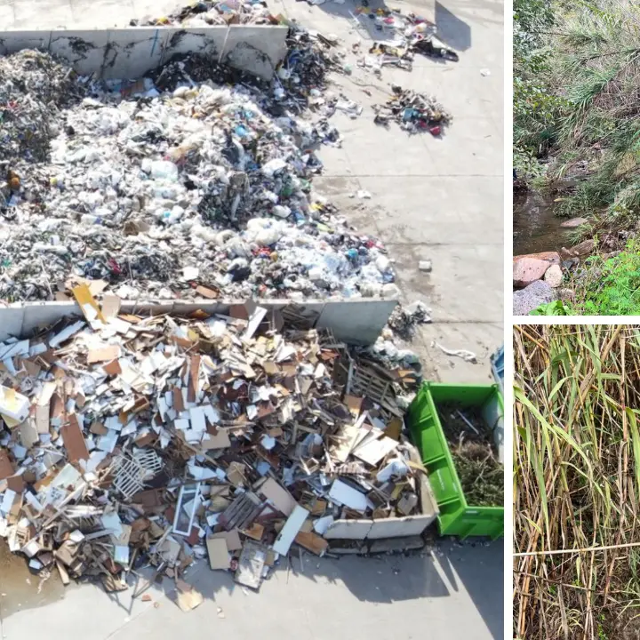 Controlli ambientali nel Lametino, sequestri per 4 frantoi e per un impianto rifiuti: accertate gravi irregolarità\n