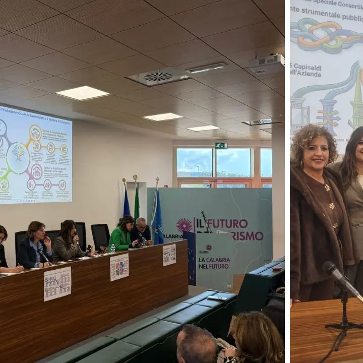 Servizi sociali, l’Azienda speciale consortile di Spilinga «modello virtuoso» per la Calabria\n
