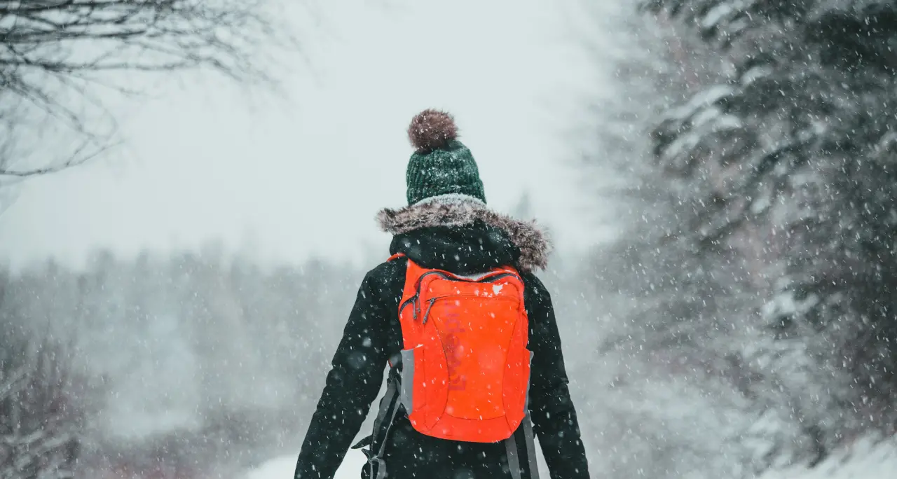 Non ha il biglietto del bus e l’autista lo fa scendere: bambino costretto a fare 6 km a piedi sotto la neve all’uscita da scuola\n