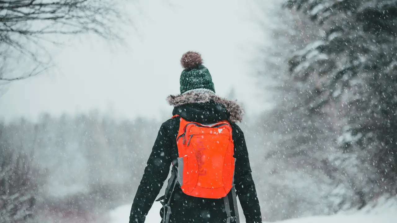 Non ha il biglietto del bus e l’autista lo fa scendere: bambino costretto a fare 6 km a piedi sotto la neve all’uscita da scuola\n
