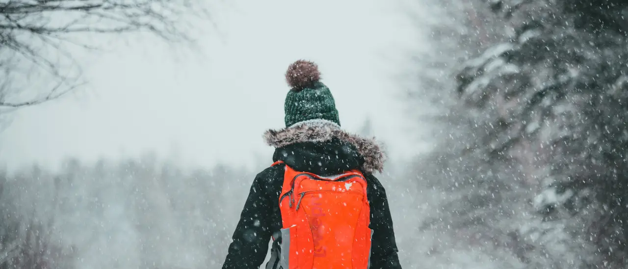 Non ha il biglietto del bus e l’autista lo fa scendere: bambino costretto a fare 6 km a piedi sotto la neve all’uscita da scuola\n