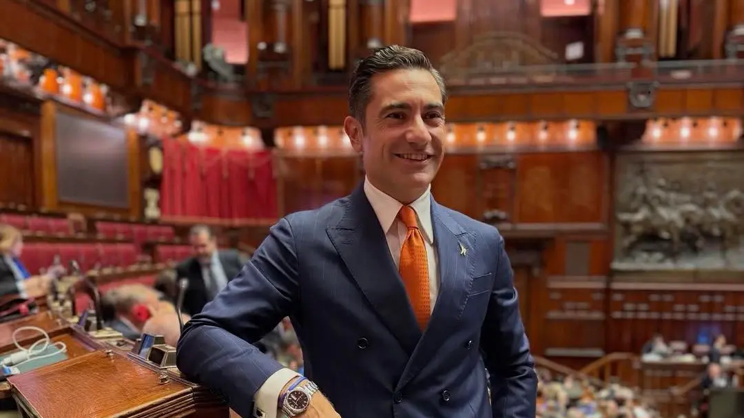 <p>Domenico Furgiuele</p>\\n