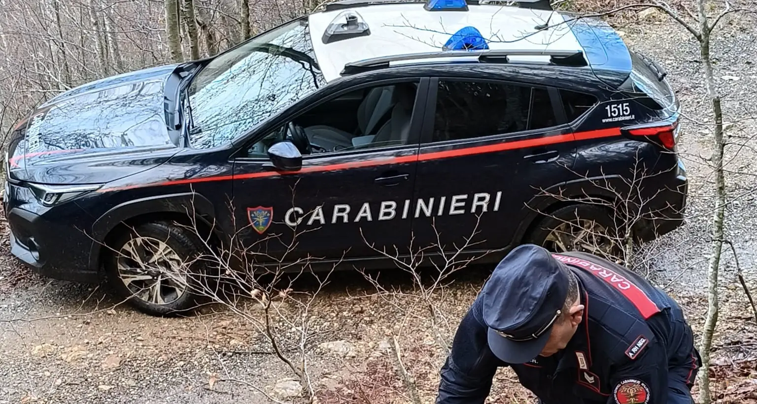 Sequestrati 15 quintali di faggio: due uomini di Cerisano indagati per furto aggravato\n